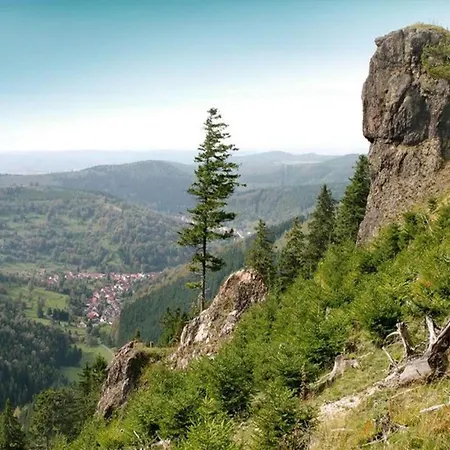 Am Hermannsberg, Prázdninový dům Oberschonau
